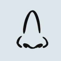 Nose